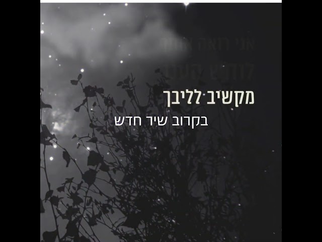 אלון ווסרמן - אני רואה אותך שיר חדש בקרוב