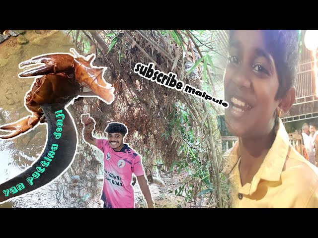 dattuna kukkudu purige ...🤣🤣|| vlog 2  yn pattina denji😁🥳||  #tuluvlog  #eyecatchystudio