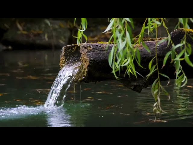 Water Sounds for Sleep or Focus | water sound,sleep music,meditation music,relaxing