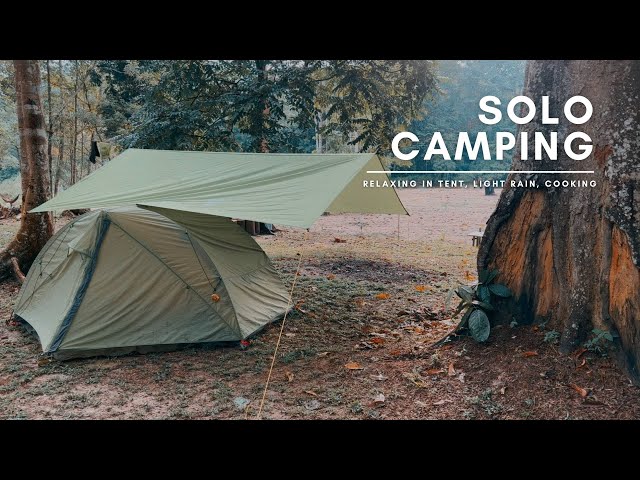 SOLO CAMPING: Camping alone in rainforest, setting up tent in the rain, Campfire, Cooking, ASMR