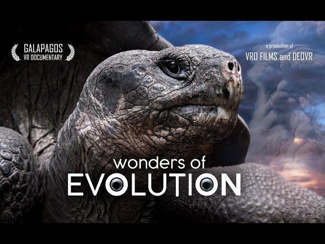 VR180 Wonders of Evolution | TRAILER: Galapagos Documentary 2024