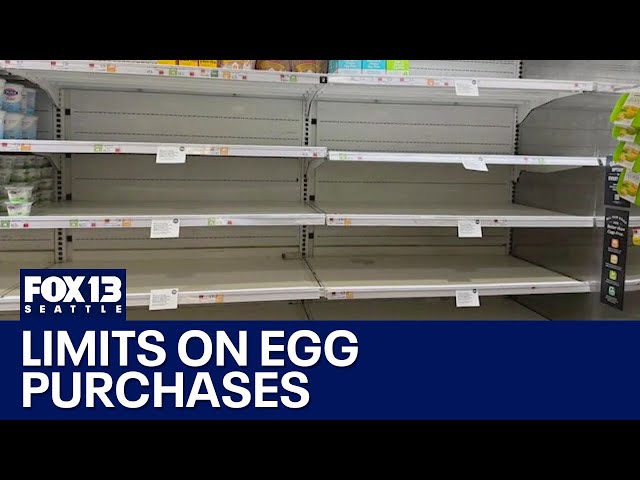 Major grocery stores put limits on egg purchases | FOX 13 Seattle