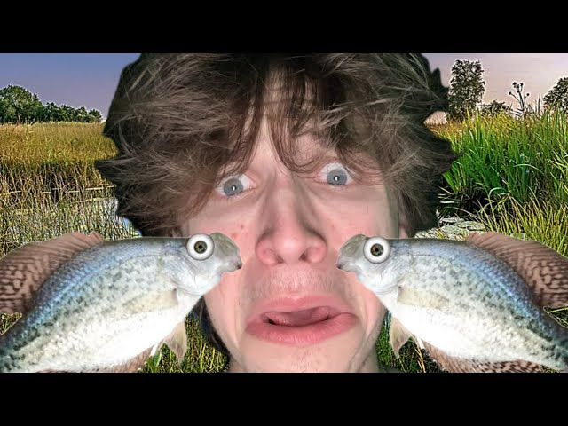 INSANE Crappie Pond!!!