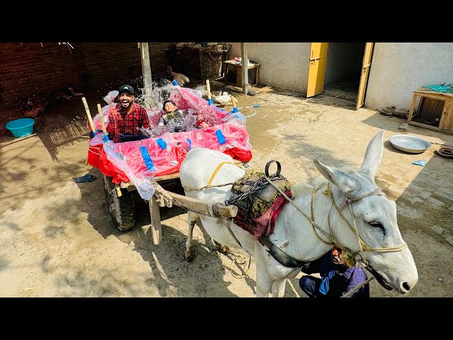 We made swimming pool on donkey 🫏 😱 || gadha gari pr swimming pool bna deya 😳 ||