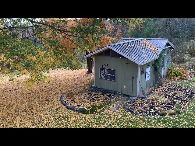 Vermont Foliage Season's "Golden Hour"