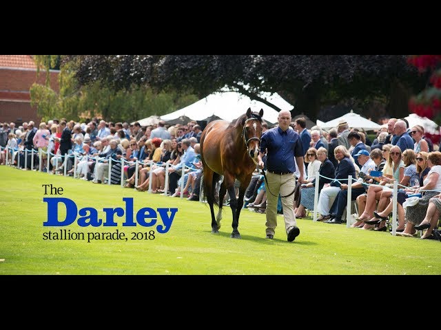 The 2018 Darley stallion parade at Dalham Hall stud