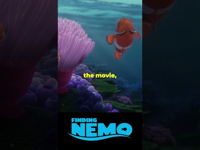 Facts you didn’t know about Finding Nemo #funfacts #moviefacts