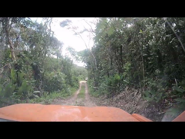 Praia e Costão da Juréia (Projeto Mata Fome)