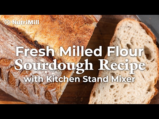 Say Goodbye to HOURS of Kneading! Fresh Milled Flour Sourdough Made Easy ft. Bosch Mixer!