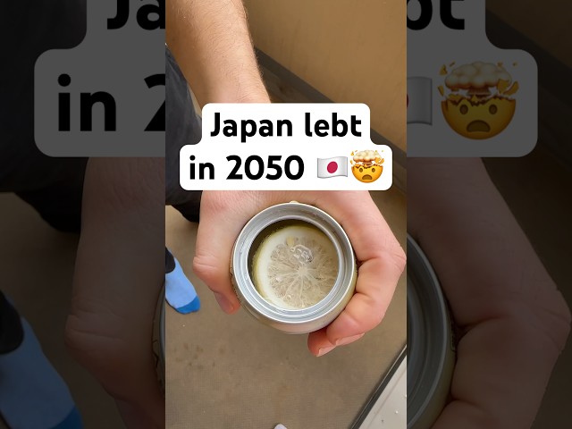 Japan lebt in 2050! 🇯🇵🤯 #japan #2050 #zukunft