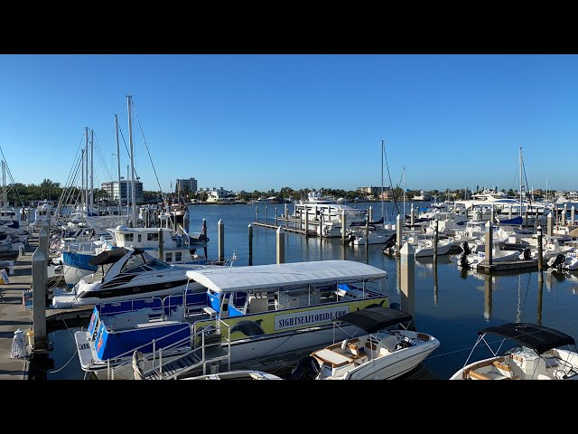 Marina Life Zen: Salty Sam's Marina, Fort Myers Beach - 1/18/2022