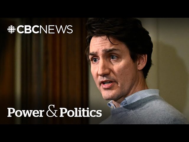 Trudeau plans wave of Senate appointments before leaving office: source | Power & Politics