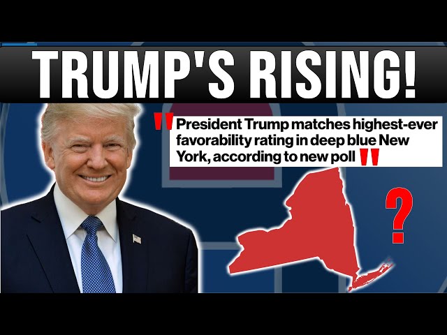 What the Latest Poll Says About Trump's Popularity in New York! | Anthony's Election Coverage