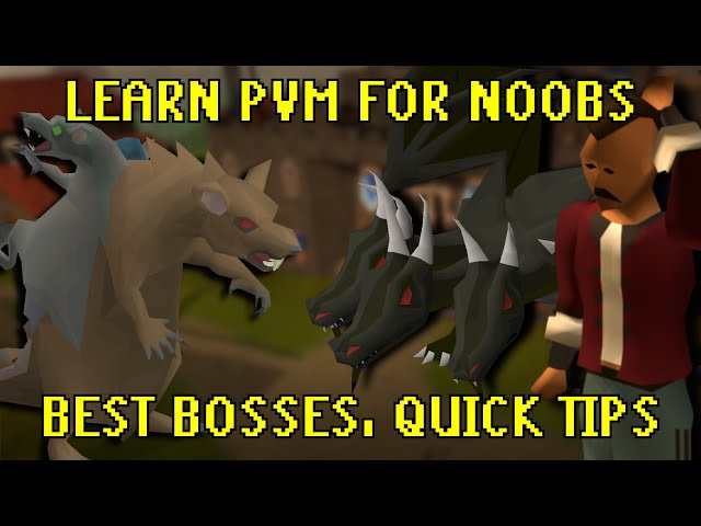 Start bossing in 2025 - A noobs guide to learning PVM