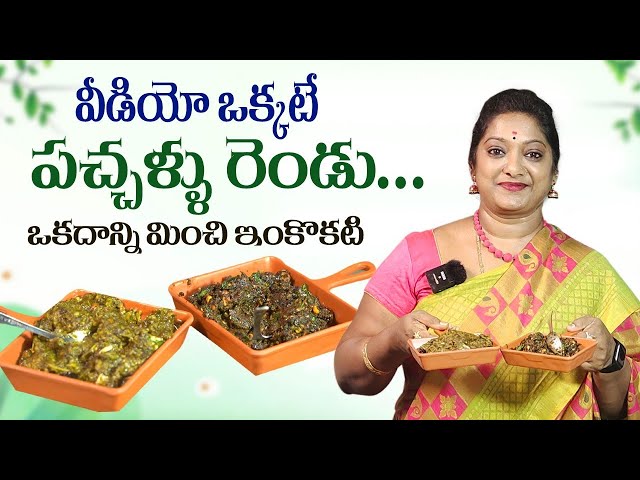 పాలకూర చుక్కకూర చట్నీ || Paalakura Chukkakura Chutney in Telugu || Sailaws Kitchen