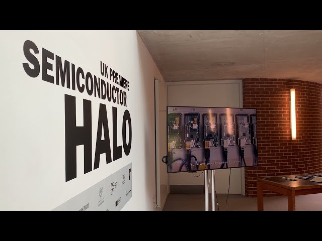 Experiencing nature through data | HALO at ACCA