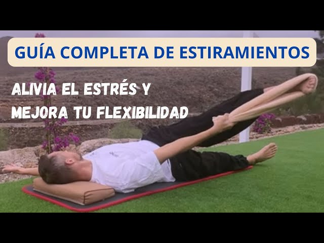 Rutina de Estiramientos para Relajación y Flexibilidad | Sesión Guiada