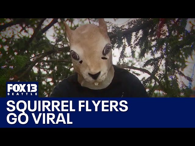 Squirrel flyers go viral in Seattle | FOX 13 Seattle