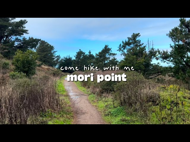 come hike with me | asmr hiking vlog | last hike of 2024 | mori point | [headphone users beware]