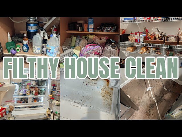 2025 FILTHY HOUSE CLEAN WITH ME | DECLUTTER CLEAN ORGANIZE | EXTREME CLEANING MOTIVATION