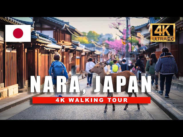 Nara, Japan Walking Tour 🇯🇵 Explore the Magical City of Deer & Ancient Temples | 4K HDR 60fps