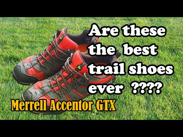 The Best Walking Shoes?