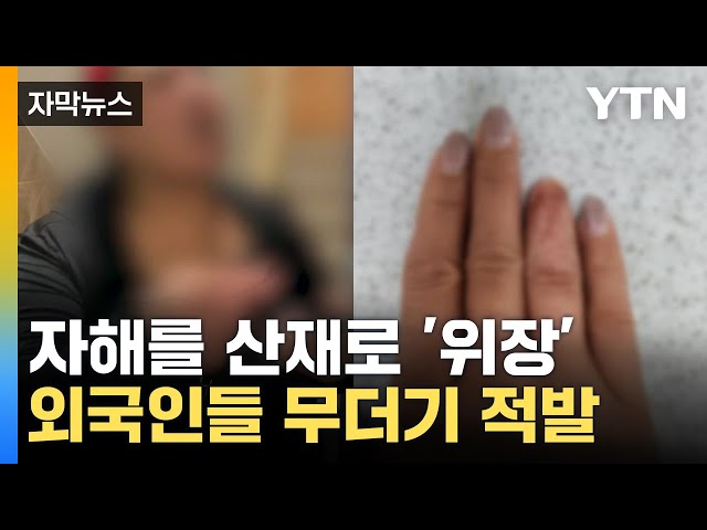 [자막뉴스] "일하다 다쳤다"...자해를 산재로 위장한 외국인들 / YTN