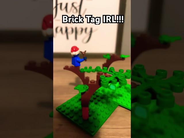 Brick Tag IRl#gorillatag #vr @TTTPig @kpmaxo @jmancurly