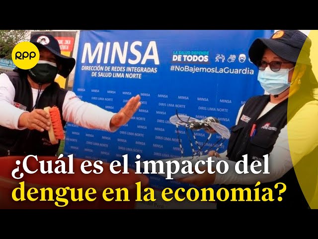 ¿Cuál es el impacto económico del dengue en el Perú?