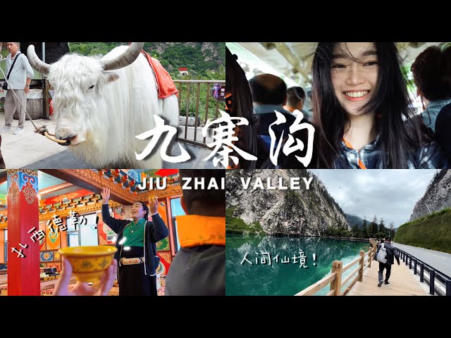 🌿都江堰➡️九寨沟➡️黄龙VLOG🌿｜8小时的路程只为看“人间瑶池”🏔️🎨｜体验在藏族家做客好嗨💃🕺🏻