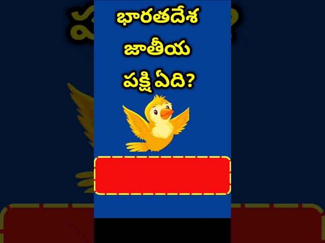 GK in Telugu || GK Quiz || GK Bits || Facts || Interesting Questions || Facts in Telugu || Quiz