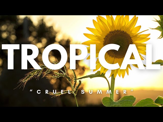 Cruel Summer - Tropical House | Royalty Free Music - Background Music For Creators