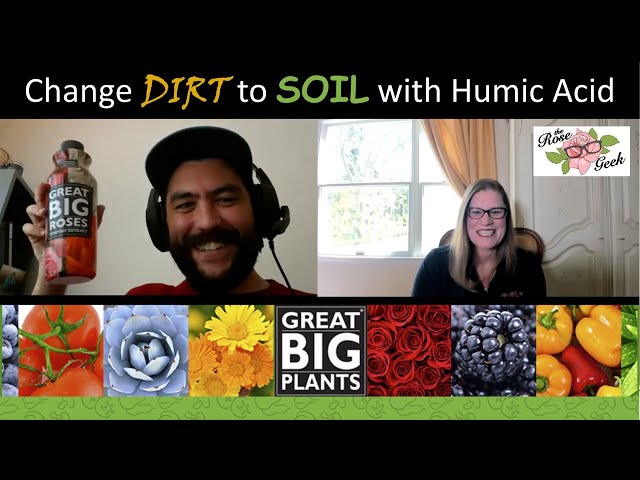 🌹 Change Dirt to Soil w/ Humic Acid Fertilizers from Great Big Plants