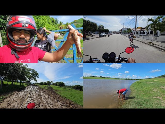 fui pra cidade com Eduarda até peixes tinha no meio da estrada 😂