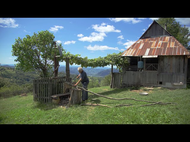 Happy independent life of a self-sufficient landlord on top of a mountain