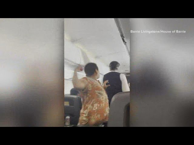 Video shows American Airlines passenger hit flight attendant in the head, union says