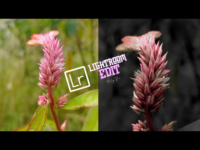 Lightroom editing 2024 | Colour grading #photoediting