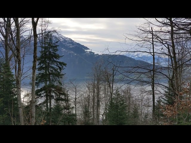 Swiss December landscape