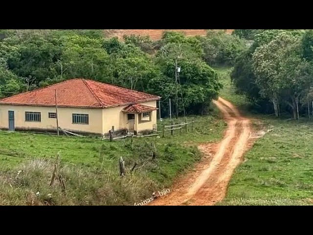 Idoso Tentou Comer Na Casa de Um Estranho e Acabou Sendo Pego No Flagrante e Teve que Sair Correndo