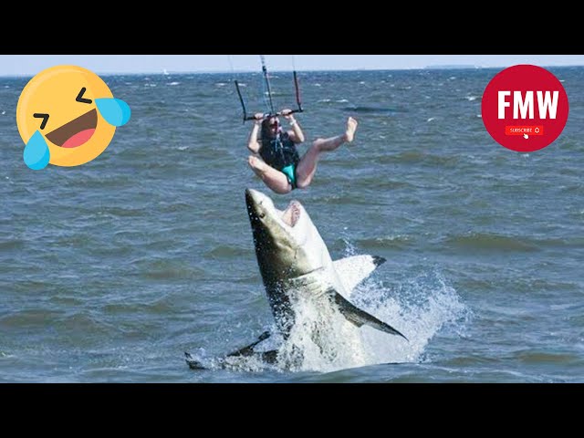 Funny & Hilarious People's Life 😂 #53 - Try not to Laugh | Funny Fails compilation 2024