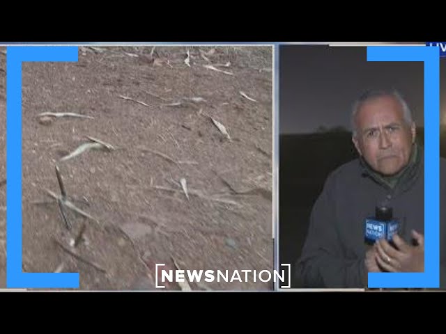 Tire deflation devices found along border | NewsNation Prime