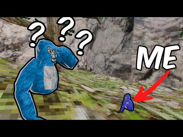 The Best Hiding Spots In Gorilla Tag