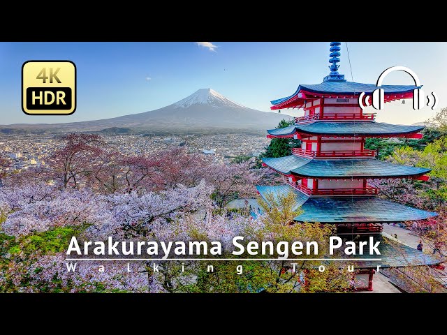 Japan - International tourists know more! Arakurayama Sengen Park [4K/HDR/Binaural]