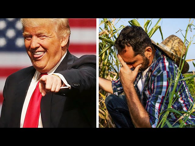 Farmers getting DESTROYED (again) by Trump