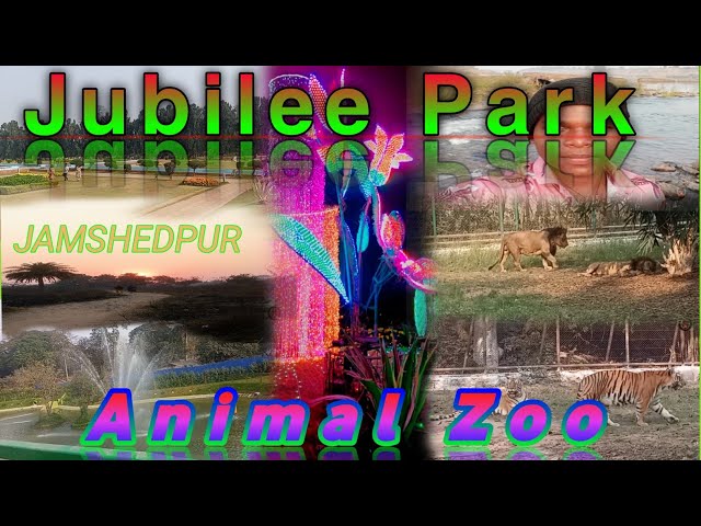 JUBILEE PARK 🏞️🌳🌲🌿🌱💮🌷🌺🌹 // ANIMAL ZOO 🐯🐨🦁🐼🦓🦍🦏🐊 JAMSHEDPUR Sakchi