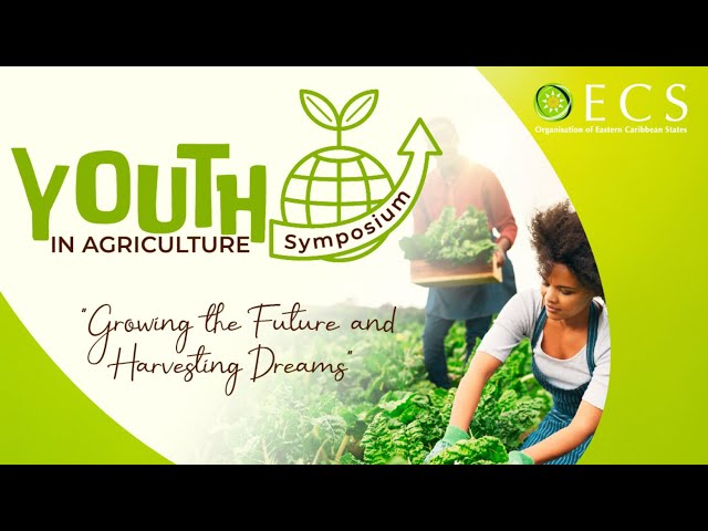 The Role of Research, Innovation and Technology in Developing the Agriculture Sector