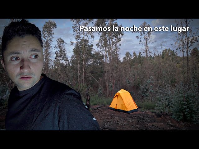 El BOSQUE MÁS PARANORMAL de Chile | Tuvimos que escapar @Jotita.3