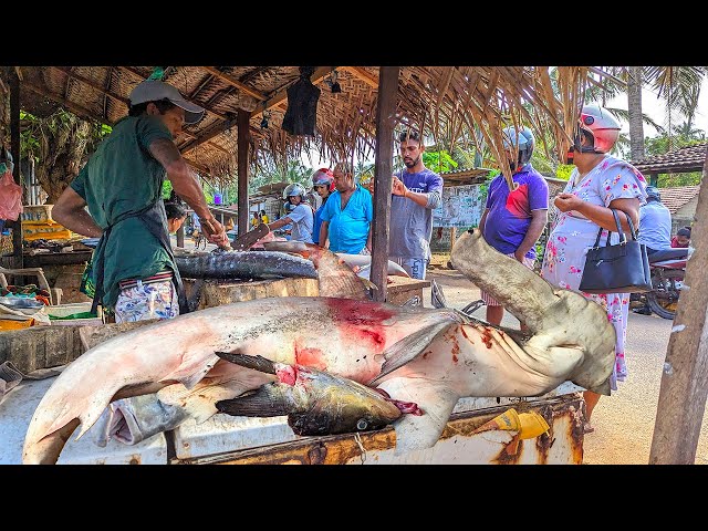 Wow! Amazing Fish Cutting Skills in the Village Traditional Street Market