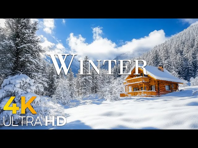 12 Hours of Magical Winter Wonderland with Peaceful Relaxing Music | Pure Relaxation Awaits.