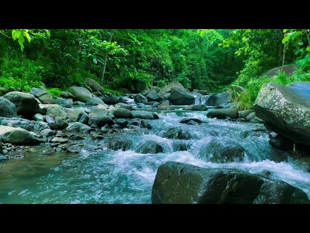 The Stream Flows Gently Over The Rocks, Beautiful Mountain River, Nature Sounds, White Noise, ASMR